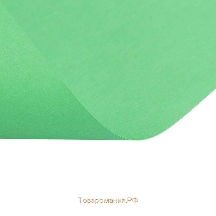 Бумага цветная А4, 50 листов Calligrata Интенсив, зелёная, 80 г/м²