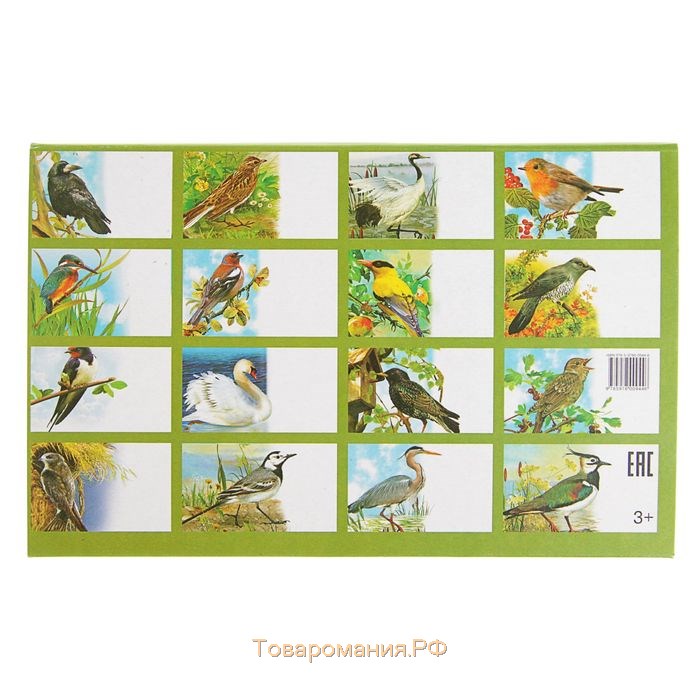 Обучающие карточки «Перелётные птицы России», 16 карточек