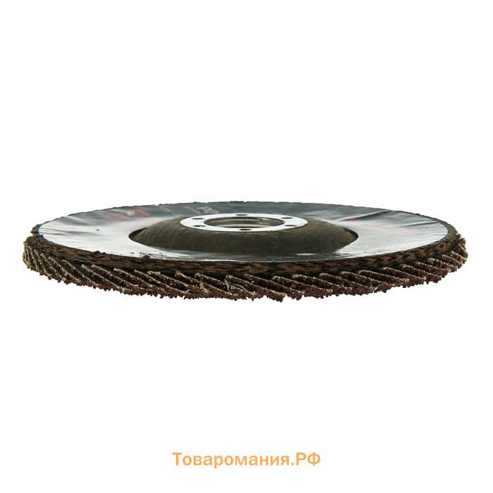 Круг лепестковый торцевой конический ТУНДРА, 125 х 22 мм, Р24