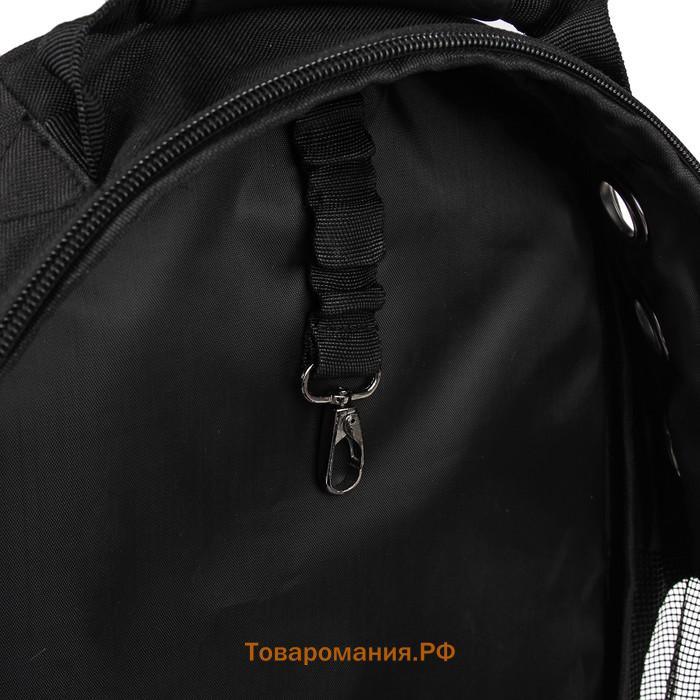 Рюкзак для переноски кошек и собак "Штрихи", с окном, 32 х 22 х 43 см