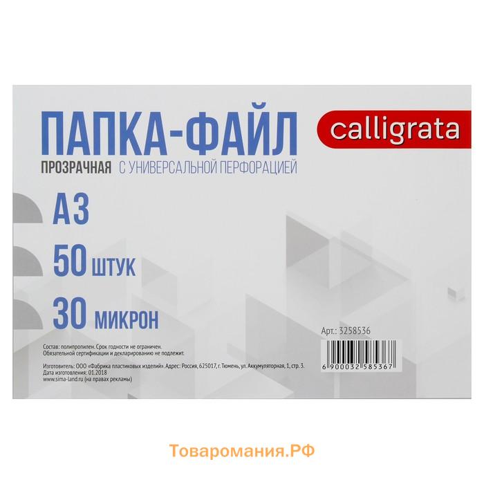 Файл-вкладыш А3, 30 мкм, Calligrata, глянцевый, вертикальный, 50 штук