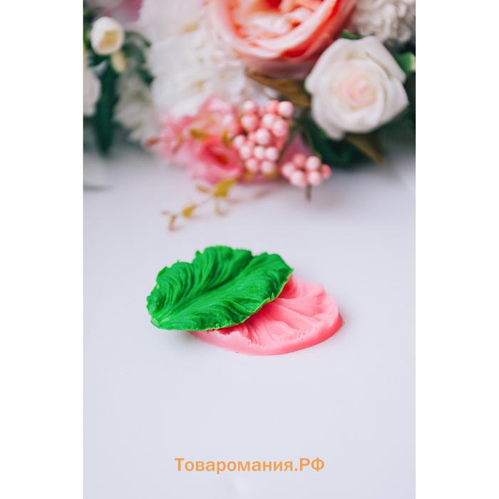 Молд «Лист тропических растений», силикон, 2 шт., 6.5×4×2.3 см, МИКС