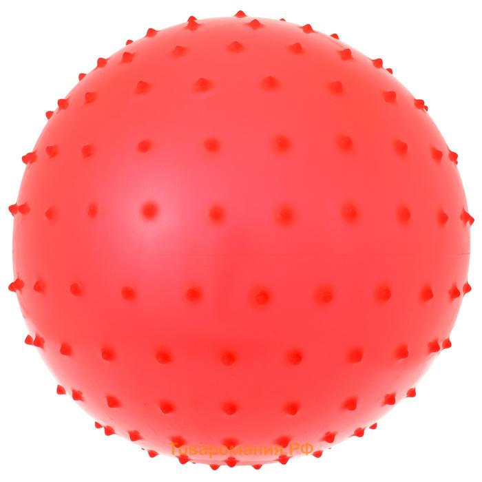 Мяч массажный, d=25 см, 80 г, МИКС