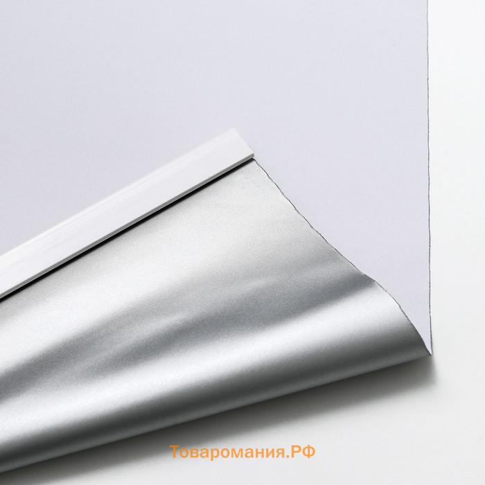 Штора рулонная «Механика. Блэкаут», 100×180 см (с учётом креплений 3,5 см), цвет светло-серый