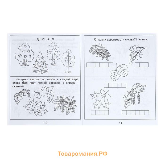 Рабочая тетрадь «Окружающий мир. Природа», часть 2, Гаврина С.