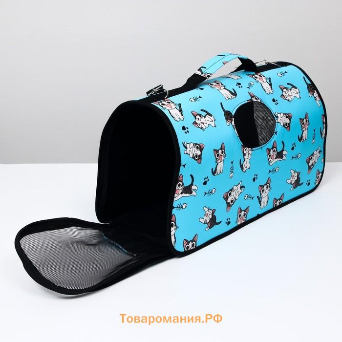 Сумка-переноска каркасная "Играющие котики", размер L, 53 х 21 х 29 см, голубая