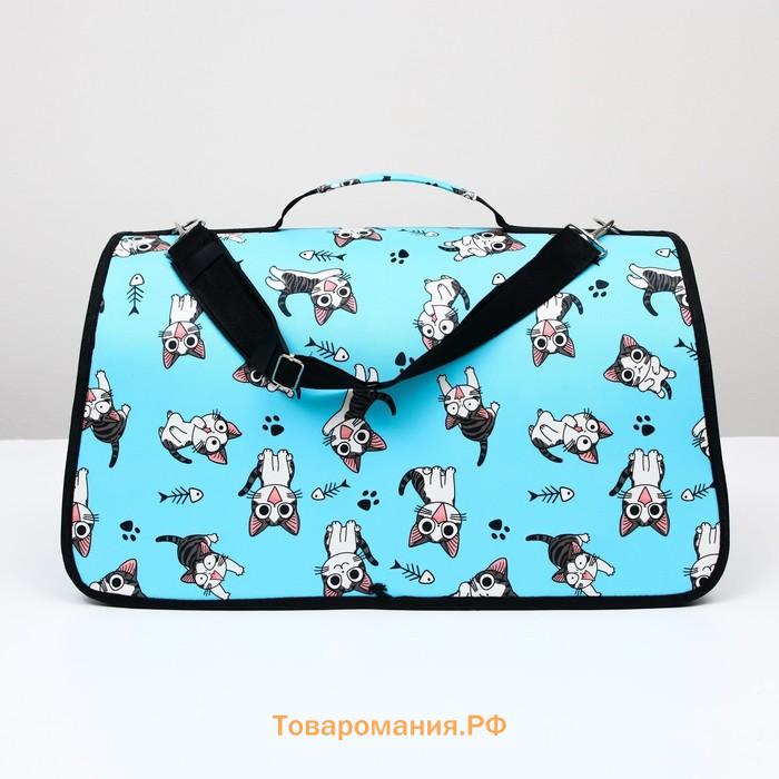 Сумка-переноска каркасная "Играющие котики", размер L, 53 х 21 х 29 см, голубая