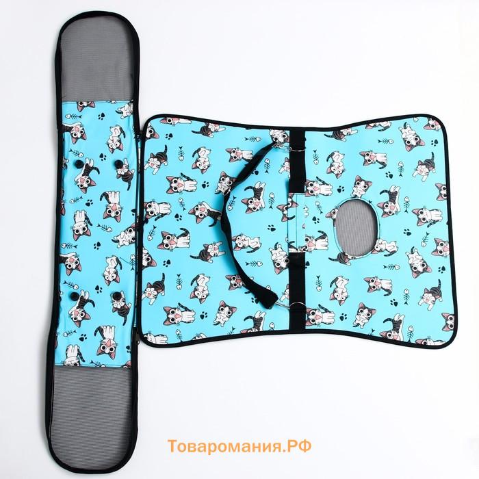 Сумка-переноска каркасная "Играющие котики", размер L, 53 х 21 х 29 см, голубая