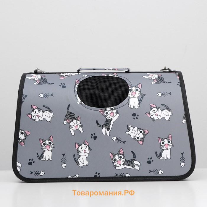 Сумка-переноска каркасная "Играющие котики", размер L, 53 х 21 х 29 см, серая