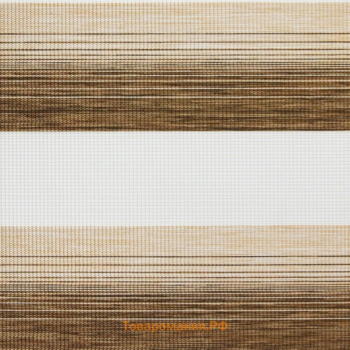 Рулонная штора день-ночь «Рафаэлло», 50х160 см, цвет коричневый