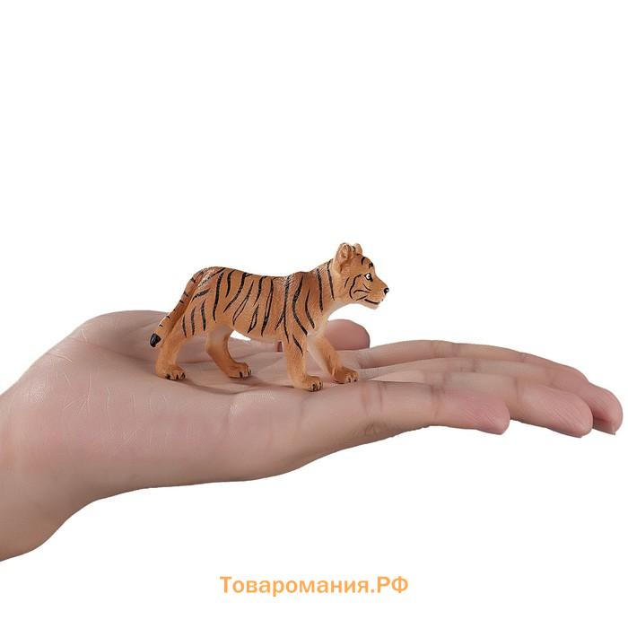 Фигурка Konik «Тигрёнок (стоящий)»