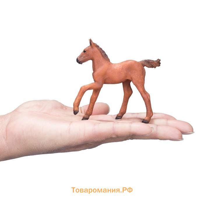 Фигурка Konik «Арабский жеребёнок, рыжей масти»