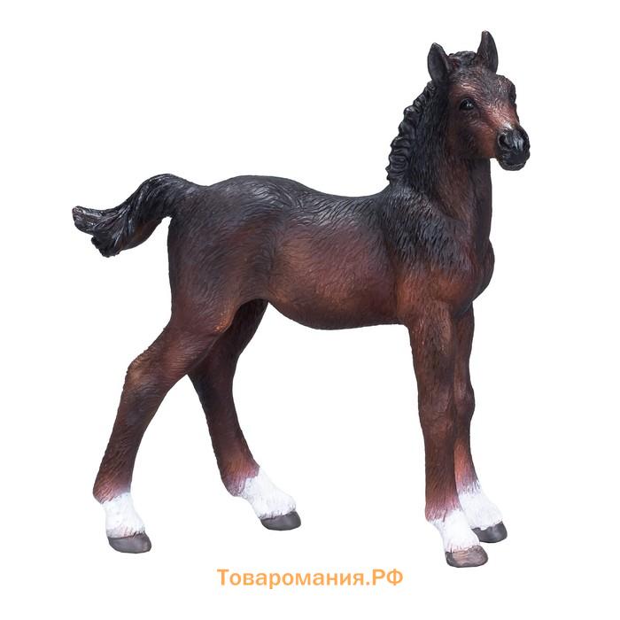 Фигурка Konik «Ганноверский жеребёнок, гнедой»