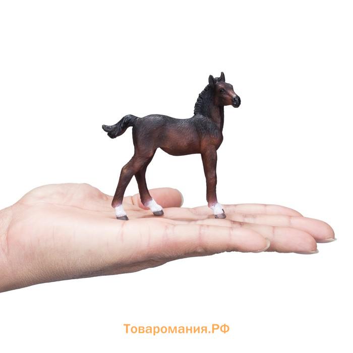 Фигурка Konik «Ганноверский жеребёнок, гнедой»