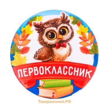 Значок закатной школьный на 1 Сентября «Первоклассник», совенок, d=56 мм