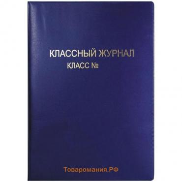 Обложка ПВХ А4, 300 мкм, для классного журнала, МИКС