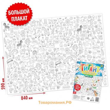 Раскраска-гигант «Найди нас!», 59 × 84 см