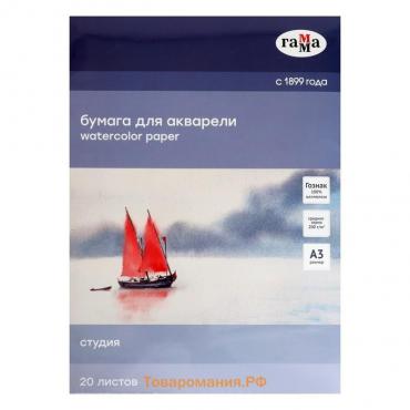 Бумага для акварели в папке А3, 295 x 415 мм, 20 листов, Гамма "Студия", 200 г/м2, среднее зерно (30C03F720W)